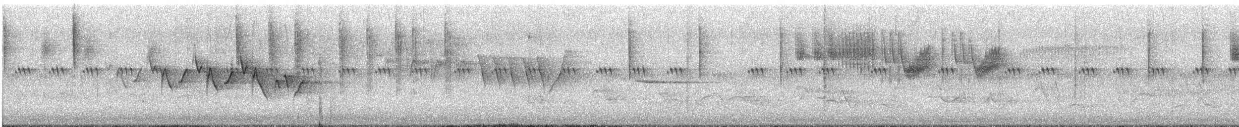 Common Yellowthroat - ML339903551