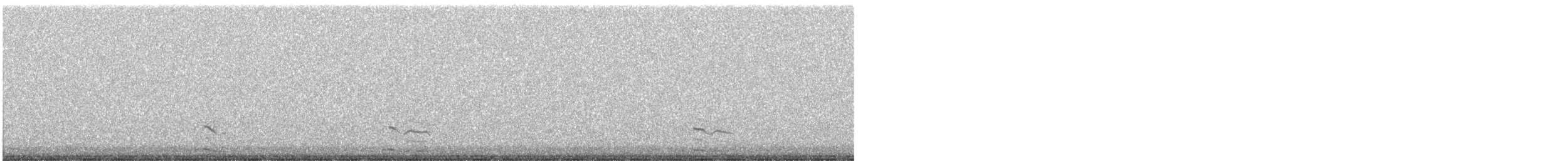 斑背潛鴨/小斑背潛鴨 - ML339909591
