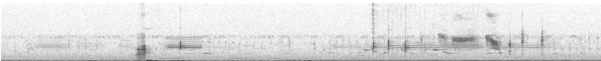 White-faced Ibis - ML339921011