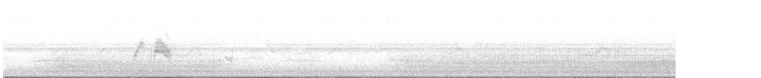 tyranovec vrbový - ML339921671