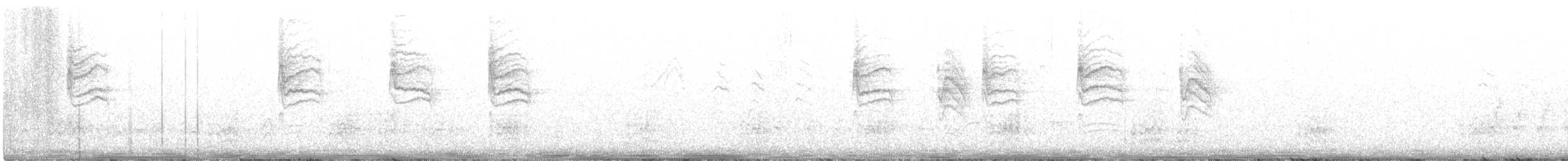 Blue-gray Gnatcatcher - ML339972841