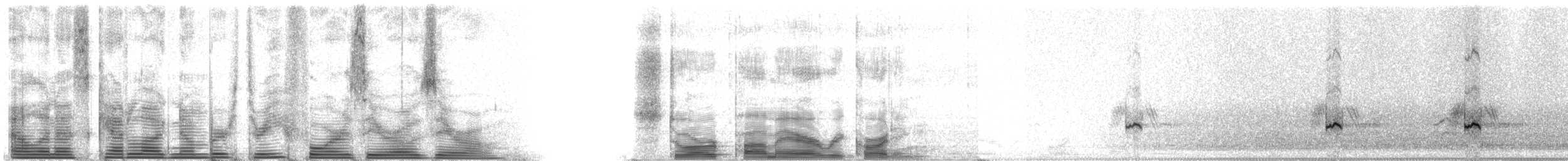 Green-winged Teal (Eurasian) - ML3400