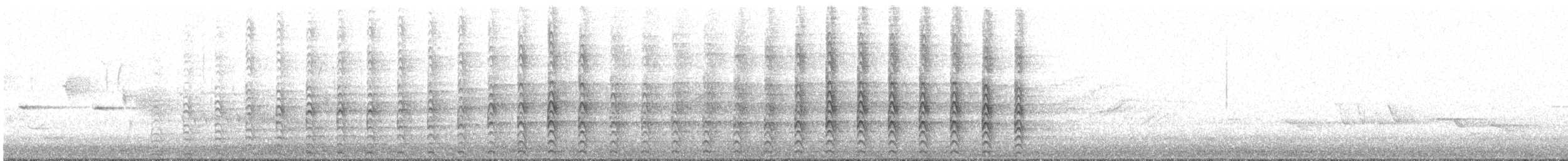 Rundschwanzhabicht - ML340019851