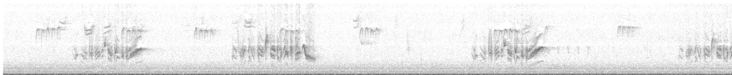 Braunaugenvireo (pusillus) - ML34008521