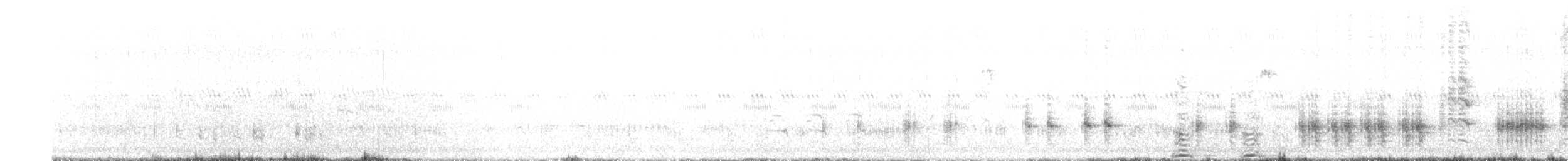 Great Reed Warbler - ML340101021