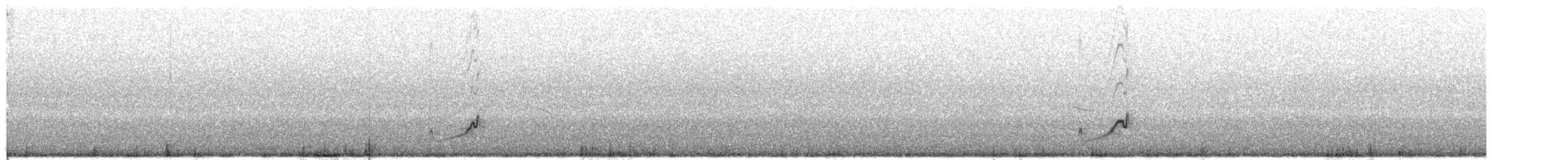 Snowy Plover - ML340114411