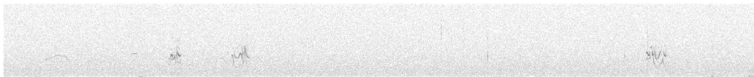 Шпак-куцохвіст аметистовий - ML340114521