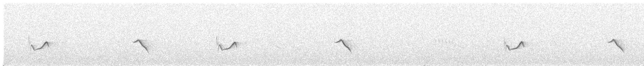 Long-billed Pipit - ML340114851