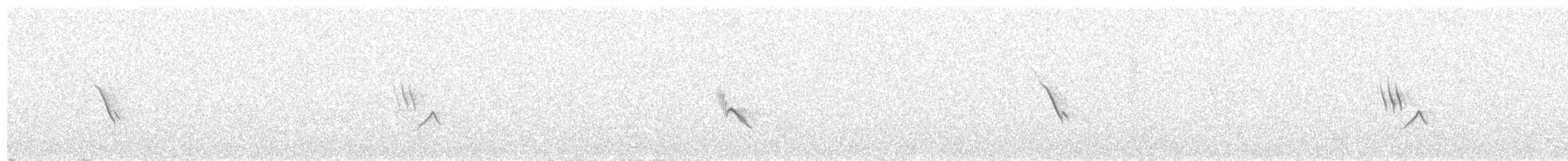 Long-billed Pipit - ML340114861
