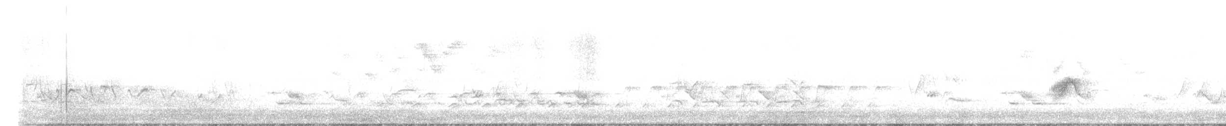 Weidenschnäppertyrann - ML340128991