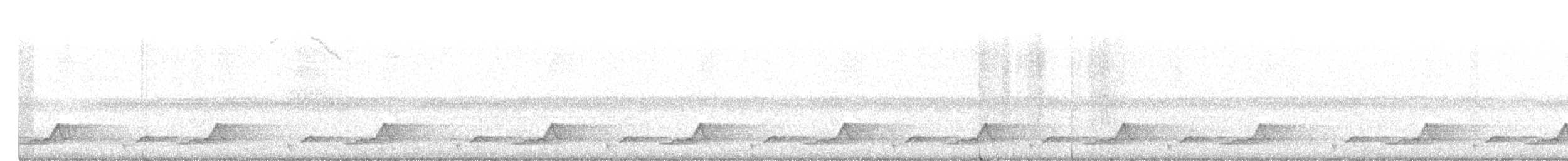 Schwarzkehl-Nachtschwalbe - ML340131261