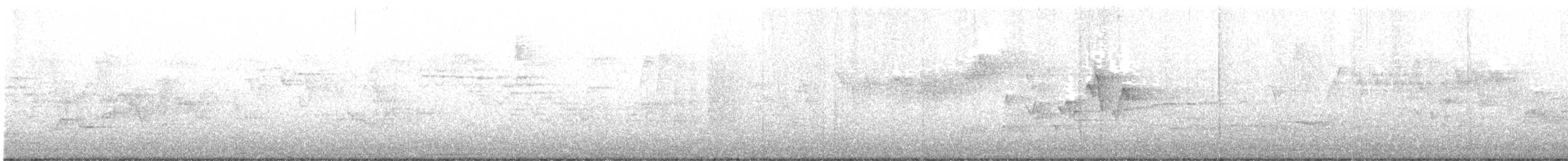 Дрізд-короткодзьоб канадський - ML340141581