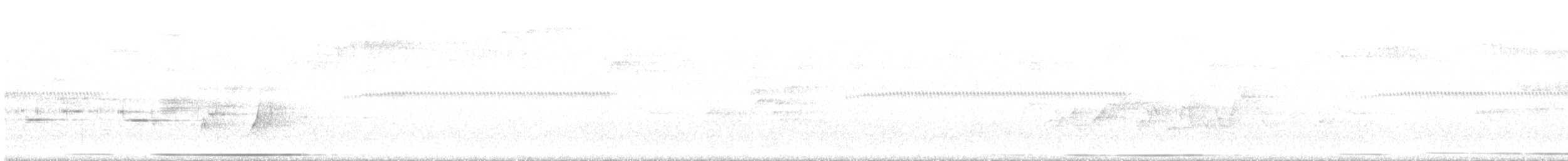 White-tipped Dove - ML340146051
