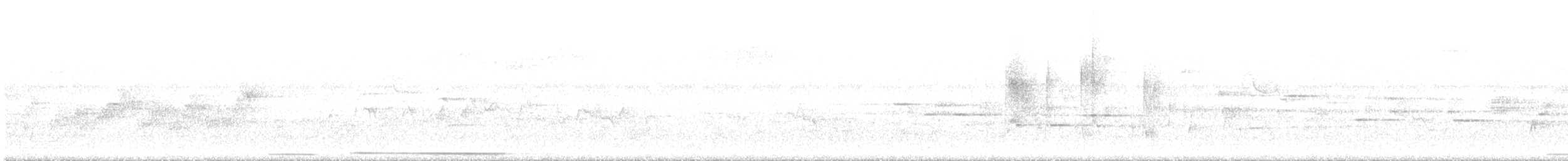 White-tipped Dove - ML340146061