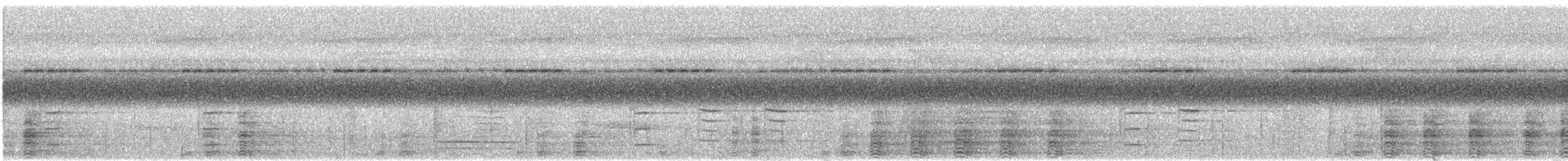 papuahornfugl - ML340148051