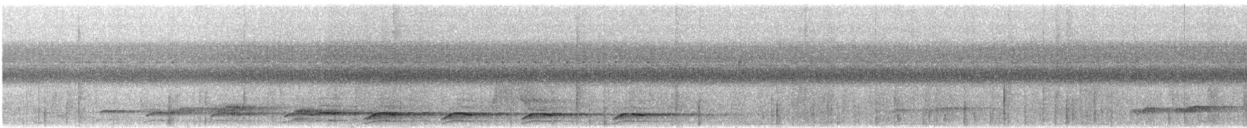 Paradisier petit-émeraude - ML340150391