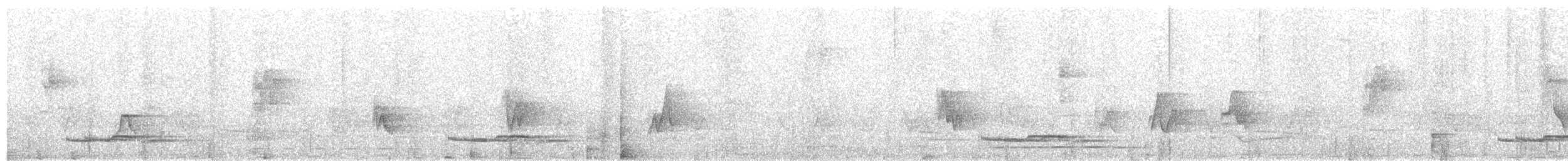 Long-tailed Manakin - ML340153811