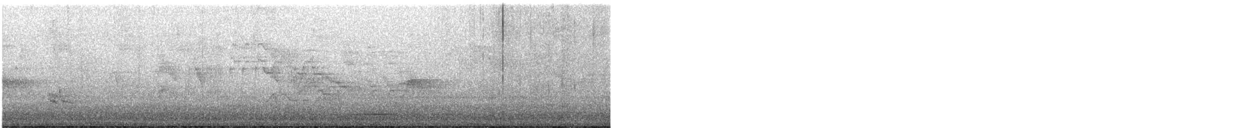 Дрізд-короткодзьоб канадський - ML340183961
