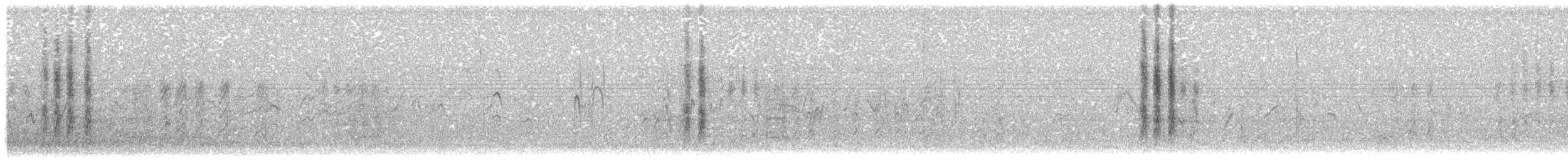 maghrebskjære - ML340184671