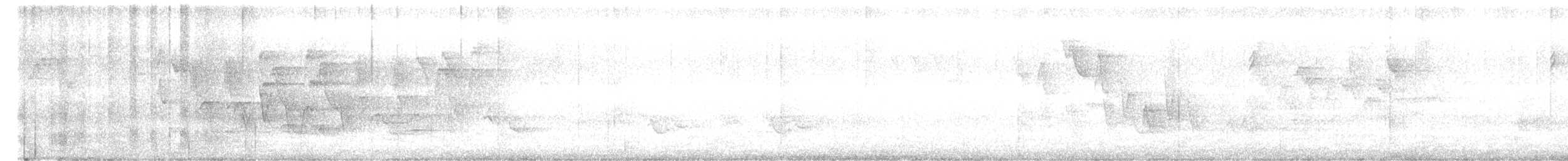 Connecticut Warbler - ML340196401