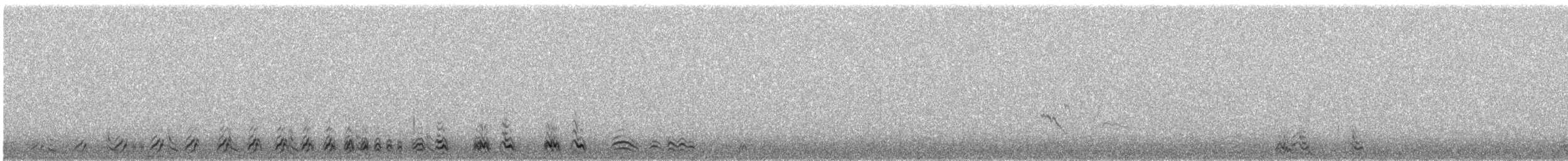 Tétraogalle du Tibet - ML340212161