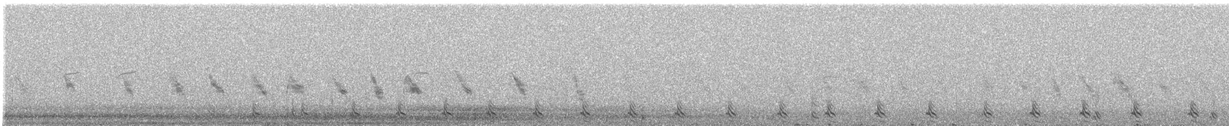 Tétraogalle du Tibet - ML340214391