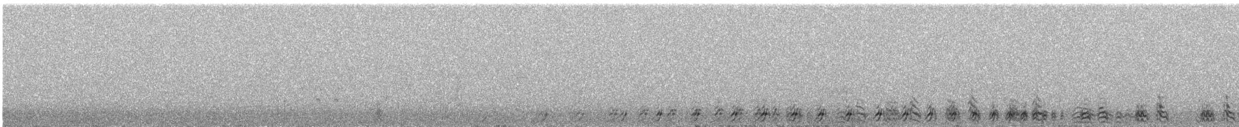 Tétraogalle du Tibet - ML340214781