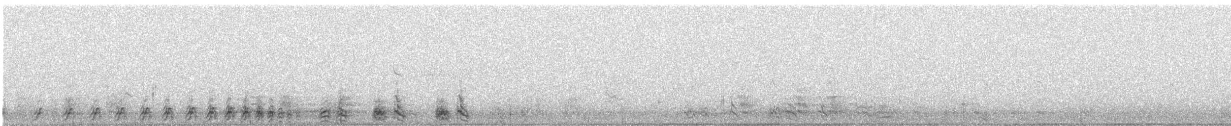 Tétraogalle du Tibet - ML340214791