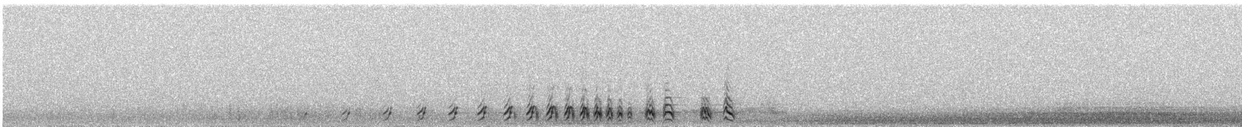 Tétraogalle du Tibet - ML340215001