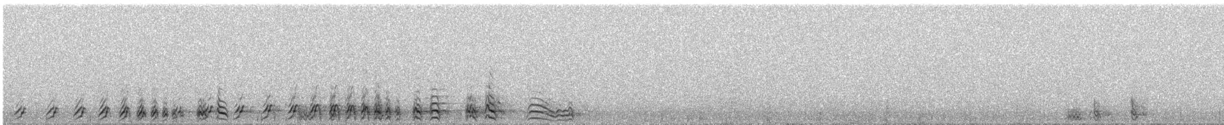 Tétraogalle du Tibet - ML340216041