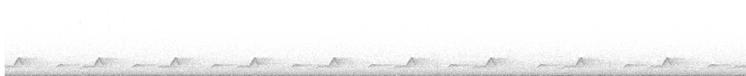 Schwarzkehl-Nachtschwalbe - ML340229351