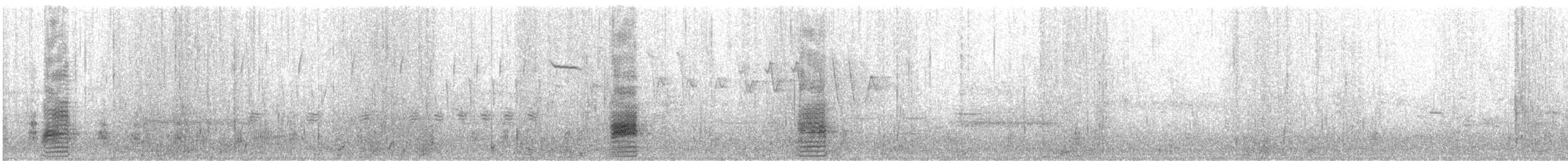 Зэрлэг нугас - ML340237211