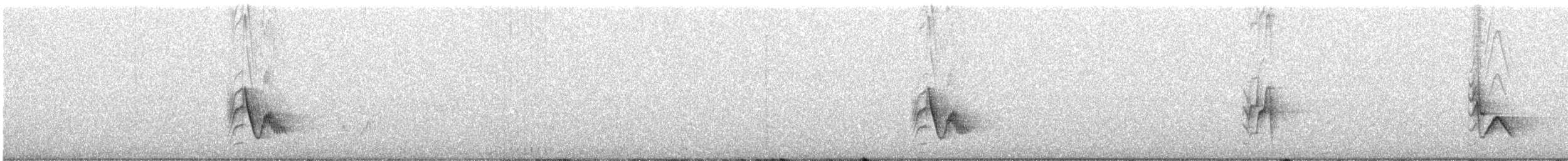 Plumbeous Vireo - ML340237791