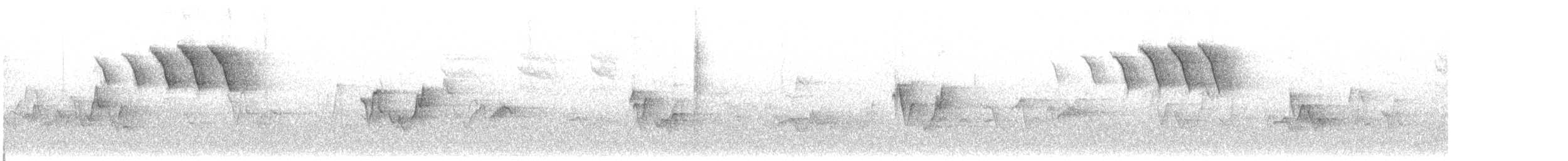 Candelita Norteña - ML340248521