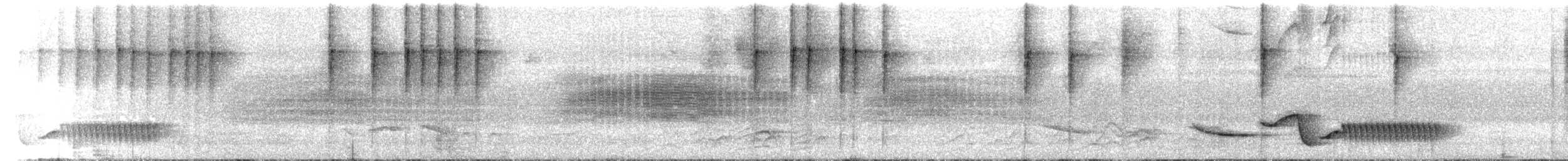 Бронзовохвостый колибри - ML340278201