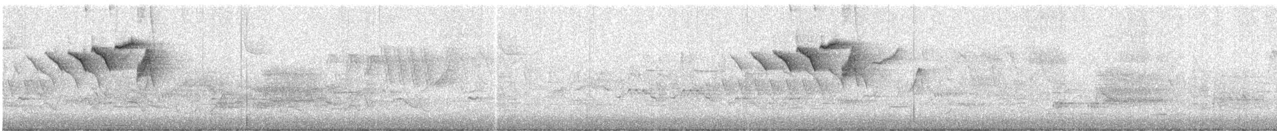 American Redstart - ML340290961
