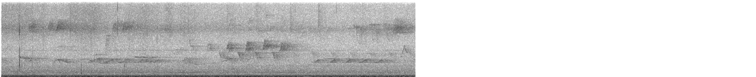 Magnolia Warbler - ML340326001