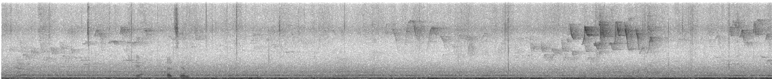 Mourning Warbler - ML340335491