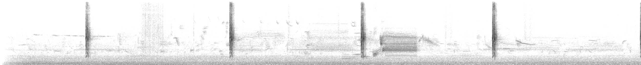 Al Kanatlı Karatavuk [phoeniceus grubu] - ML340350101