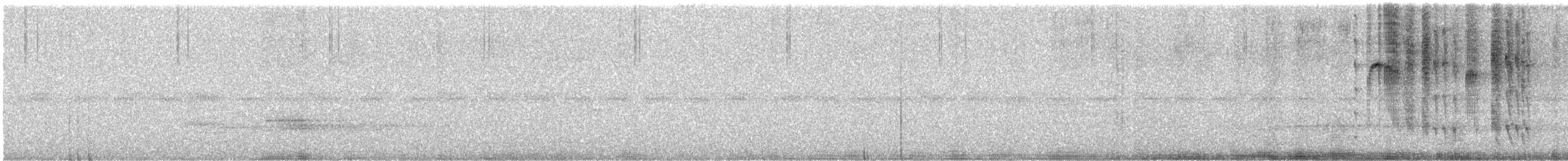 Colibri à gorge rubis - ML340355001