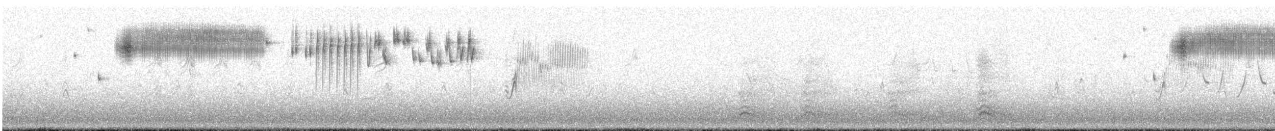 Кузнечиковая овсянка-барсучок - ML340422521