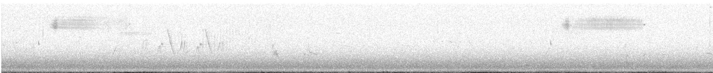 Кузнечиковая овсянка-барсучок - ML340422571