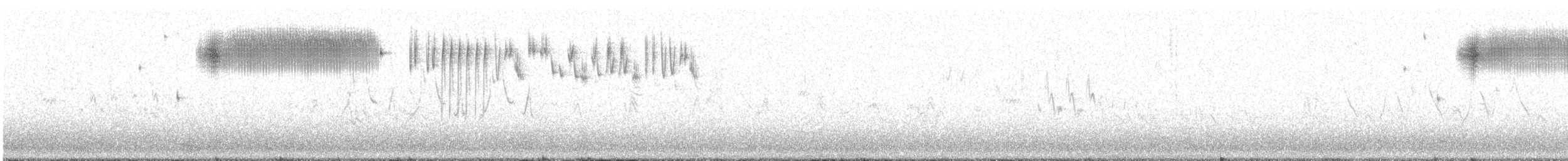 Кузнечиковая овсянка-барсучок - ML340422581