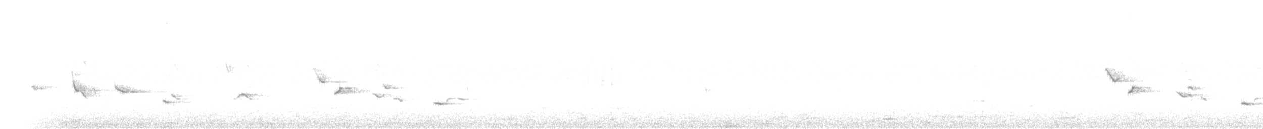 Чернокрылый толстонос - ML340423281