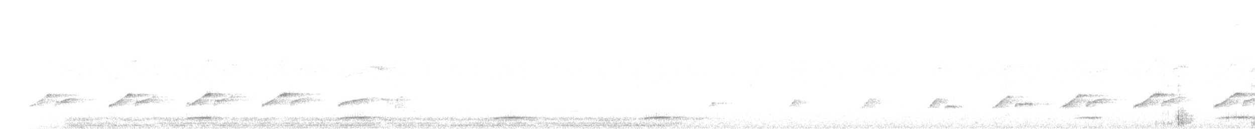 セアカウズラバト - ML340423851