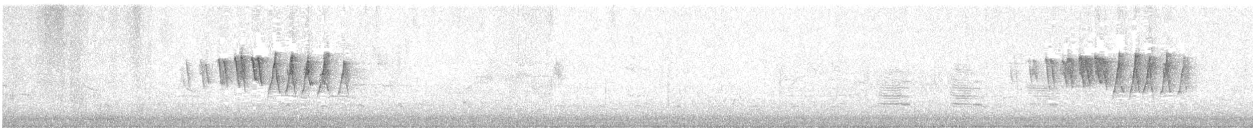 Paruline à calotte noire - ML340426101