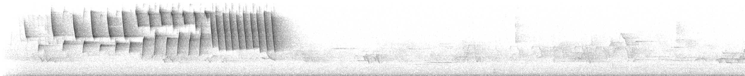 Brauenwaldsänger - ML340445591