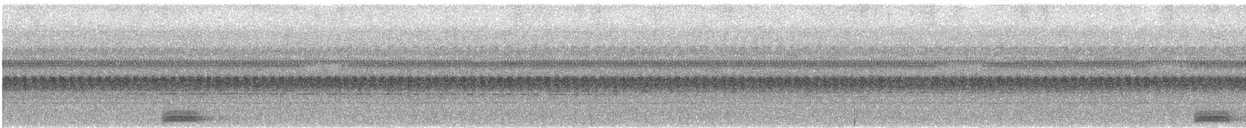 Nínox de Halmahera - ML340462501