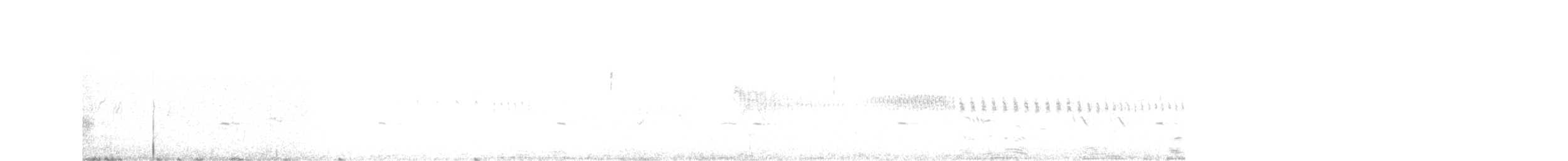 gråsolitærtrost - ML340523991