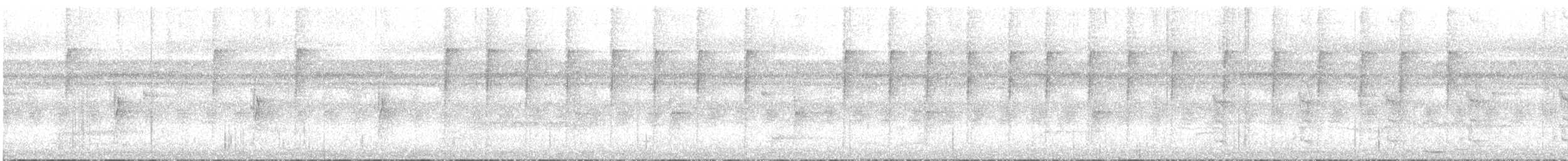 Бронзовохвостый колибри - ML340525621